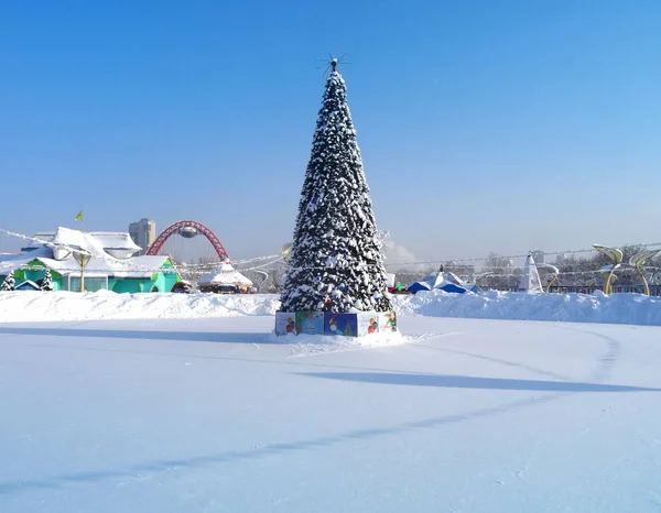 Parktaki Noel ağacı.. — Stok fotoğraf