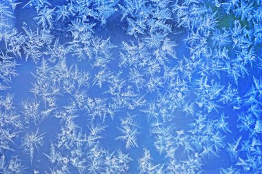 Neşeli Noel ışıltılı desenli don