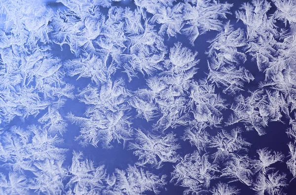 Sníh na okenní mráz — Stock fotografie