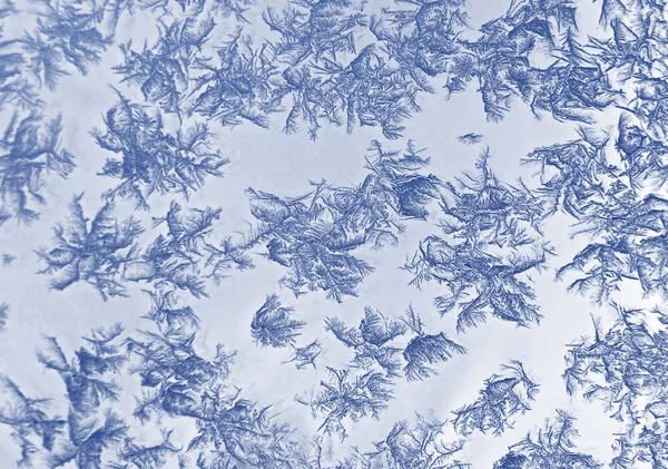 冬の霜氷のパターン — ストック写真