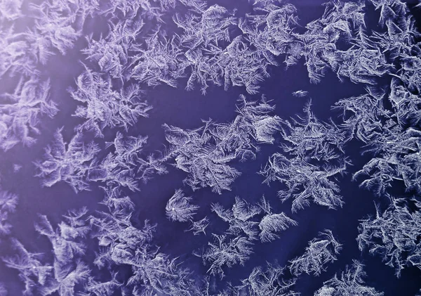 Patrones de hielo heladas en invierno Fotos De Stock Sin Royalties Gratis