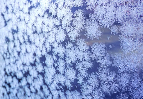 Gelo flores congeladas azul janela texturizado fundo — Fotografia de Stock
