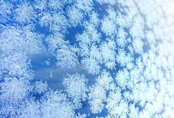 Ice flowers frozen blue window textured background — Stock Photo, Image