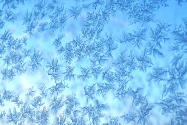 Diseño de bosque de cuento de hadas con nevadas — Foto de Stock