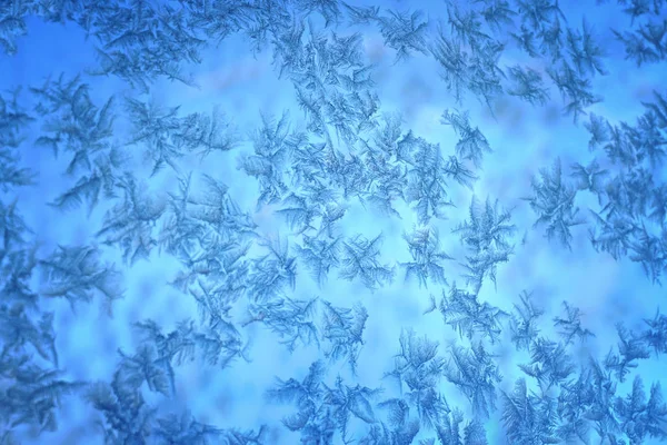 Design pohádkového lesa se sněhem — Stock fotografie