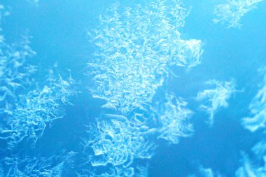 Kış ayazı çok yakın.                              