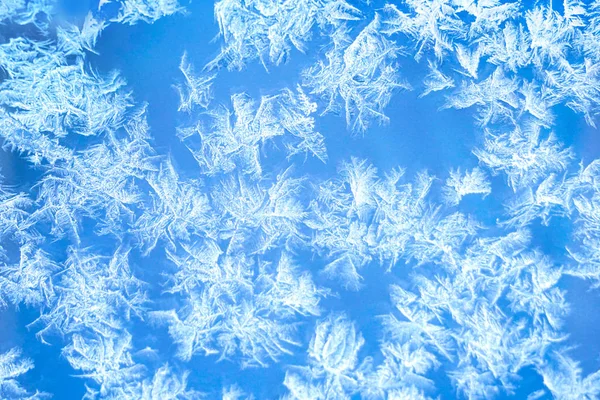 Gelo flores congeladas azul janela texturizado fundo . — Fotografia de Stock