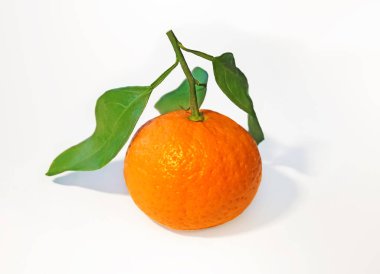 mandalina yaprakları ile