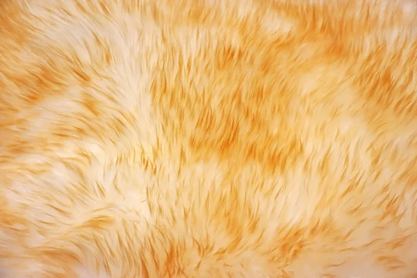 Textura natural da lã — Fotografia de Stock