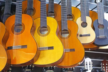 gitar farklı türleri