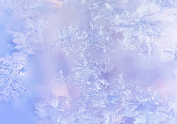 Zimowy mróz w zbliżeniu — Zdjęcie stockowe