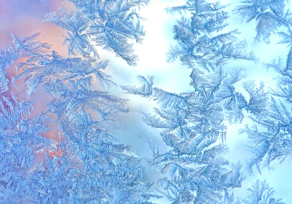 Winterfrost in Nahaufnahme — Stockfoto