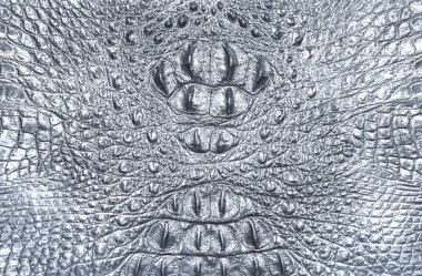 deri giymiş timsah doku ile