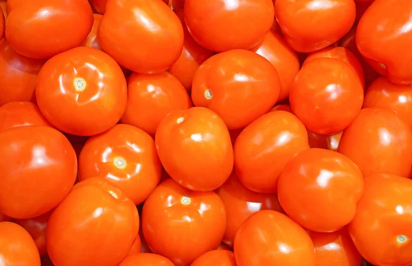 Tomaten im Hintergrund — Stockfoto