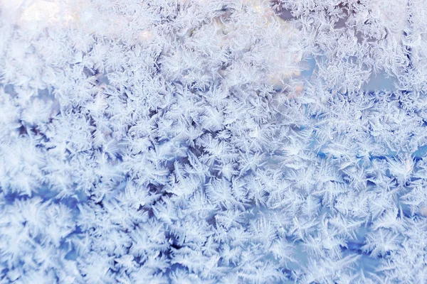 Design pohádkového lesa se sněhem — Stock fotografie