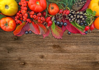 sonbahar renkli arka plan.