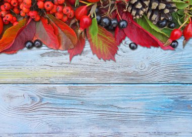 sonbahar renkli arka plan.