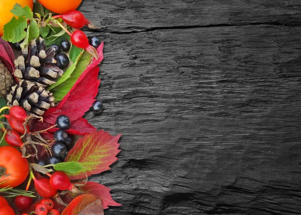 Осенний красочный фон . — стоковое фото