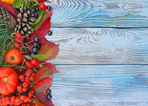 Осенний красочный фон . — стоковое фото