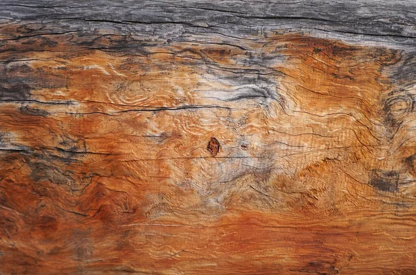 古老的木制纹理 自然色彩丰富的空间背景设计 — 图库照片