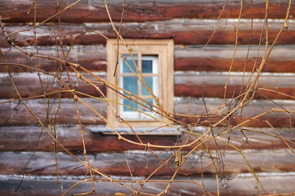 窓のある古い木造の建物の背景にあるつるの枝 — ストック写真