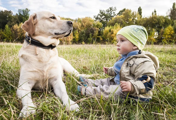 Μικρό αγόρι με ένα σκύλο στο πάρκο — Φωτογραφία Αρχείου