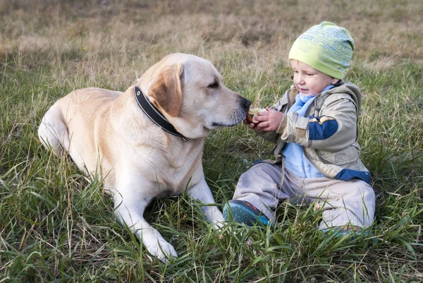 Kleiner Junge füttert Hund im Gras — Stockfoto