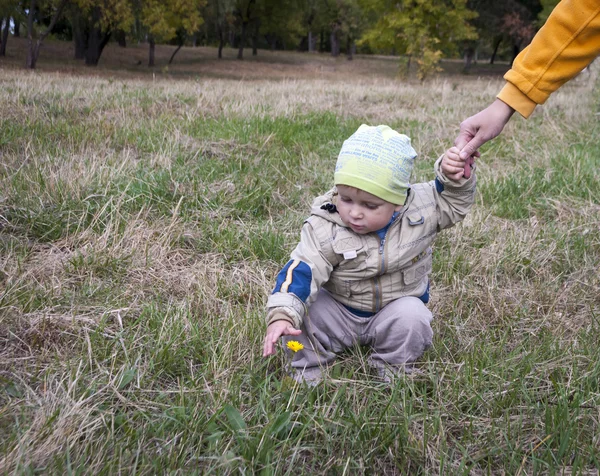 Bambino nel parco si estende fino al fiore — Foto Stock