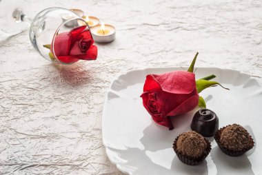 Kırmızı güller ve beyaz arka plan, Sevgililer günü kavramı üzerinde çikolatalar