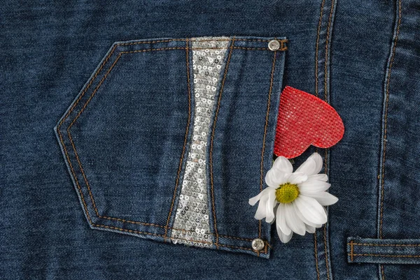 Jean cep yakın çekim çiçek