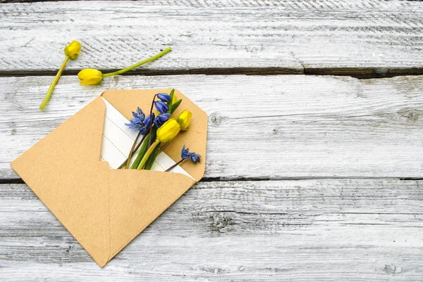 Spring flowers in an envelope on a white wooden surface — Stock Photo, Image