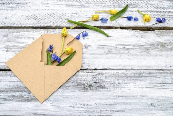 Spring flowers in an envelope on a white wooden surface — Stock Photo, Image