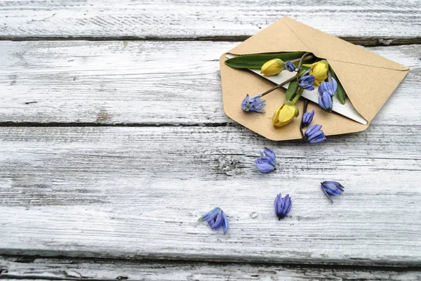 Spring flowers in an envelope on a white wooden surface — Stock Photo, Image