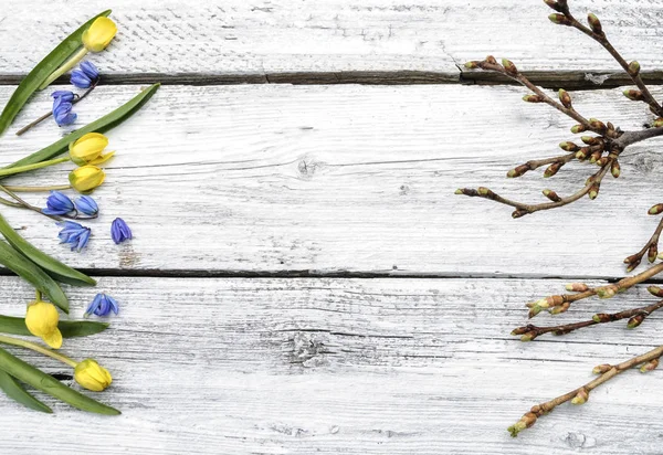Bahar çiçekleri Beyaz ahşap yüzeye