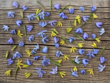 Bahar çiçek desenli vintage ahşap zemin üzerine.