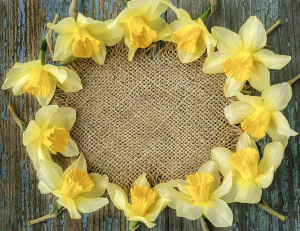 çerçeve bir arka plan kaba kumaş sarı çiçek