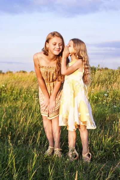 Две девушки, стоящие в поле, улыбающиеся и делящиеся секретом — стоковое фото