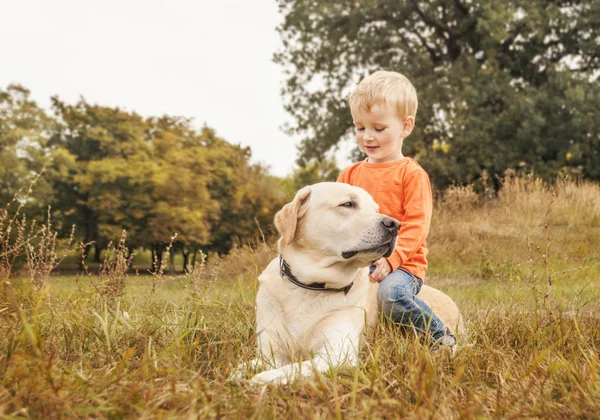 Küçük çocuk Parkta yürümek köpek ata biner gibi oturur. Boşaltmak