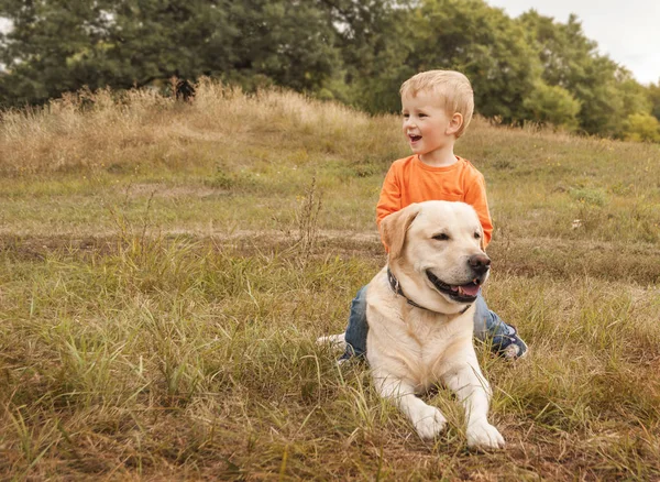 Pequeño niño se sienta a horcajadas perro en paseo en parque . —  Fotos de Stock