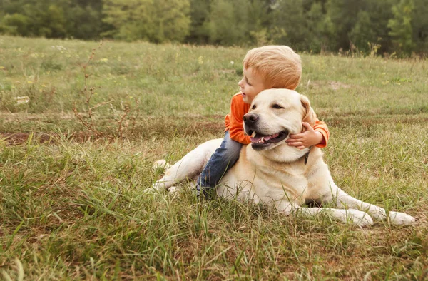 Der kleine Junge sitzt auf einem Hund beim Spaziergang im Park. Kopierraum — Stockfoto