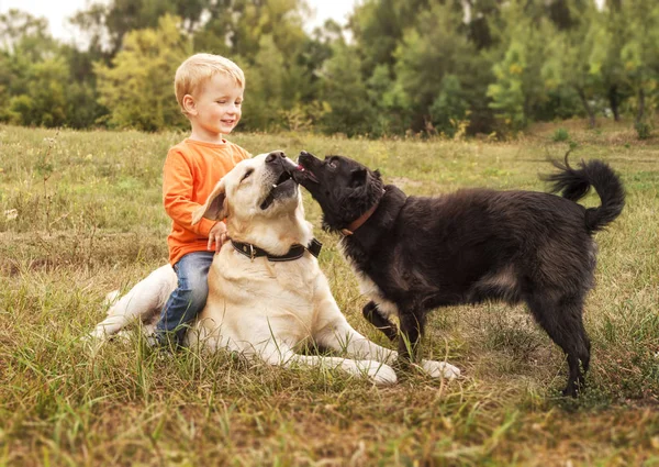 Küçük çocuk Parkta yürümek köpek ata biner gibi oturur.
