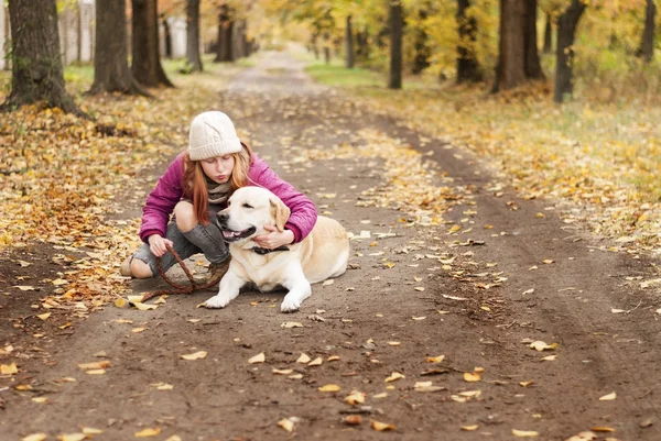 Retrato de una hermosa chica con su perro mientras pasea en el parque de otoño —  Fotos de Stock