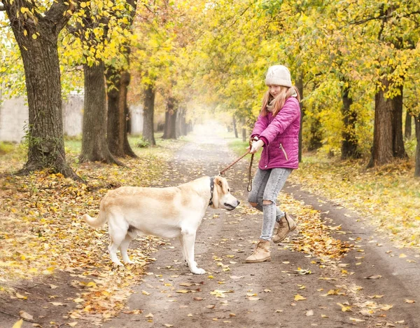 Το κορίτσι με το σκύλο ενώ περπατάτε στο πάρκο φθινόπωρο — Φωτογραφία Αρχείου