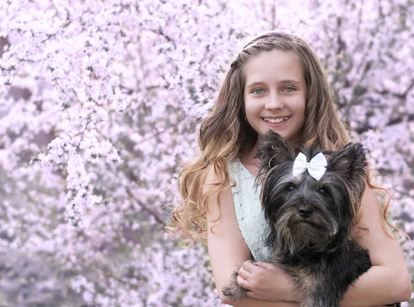 Όμορφο κοριτσάκι με σκύλο για το ιστορικό της ανθοφορίας δέντρο — Φωτογραφία Αρχείου