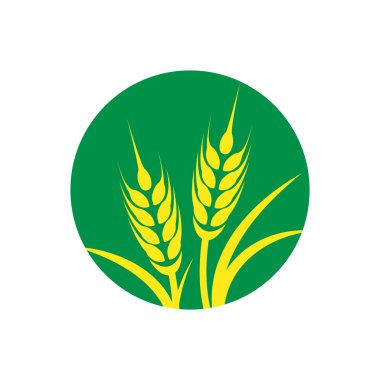 Vektör buğday üzerinde yeşil daire