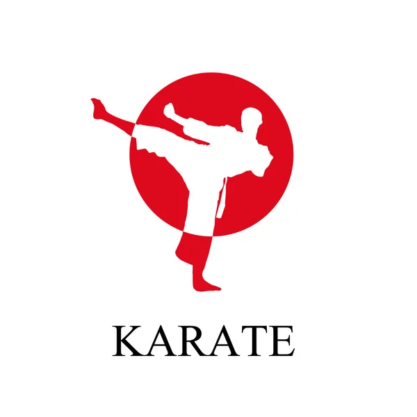 Vector hombre haciendo karate — Vector de stock