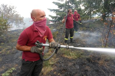 İtalya ormanda ağır yangınlar yok
