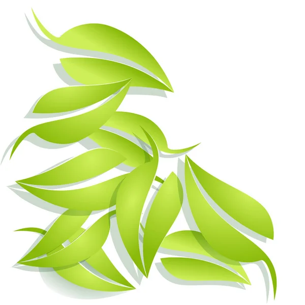 Vector Fondo de hojas verdes frescas. Concepto primavera — Vector de stock