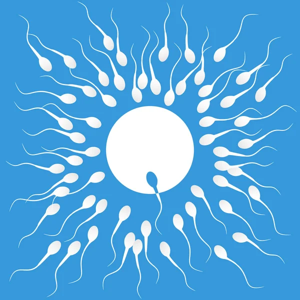 Fond vectoriel sperme qui court vers l'ovule, Compétition c — Image vectorielle