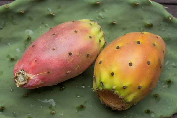 Taze olgun tüm Hint inciri ahşap vin üzerinde bitkisinin yaprağı